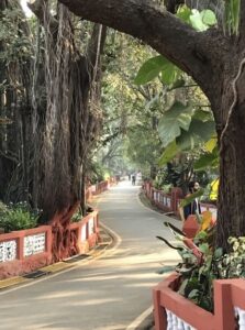 phoca_thumb_l_02.india.2020