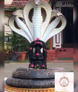 phoca_thumb_l_05.india.2020
