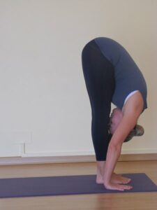 phoca_thumb_l_11-img_3065