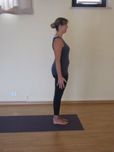 phoca_thumb_l_13-img_3054