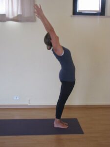 phoca_thumb_l_2-img_3055