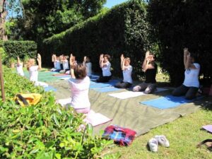 phoca_thumb_l_23 olistica m