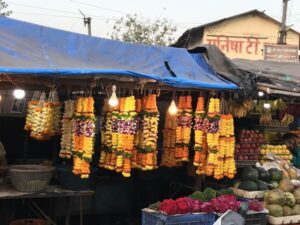 phoca_thumb_l_25.india.2020