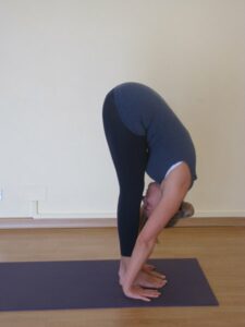 phoca_thumb_l_3-img_3056