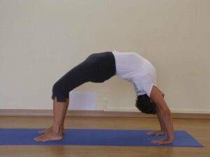phoca_thumb_l_urdhva dhanurasana-anna
