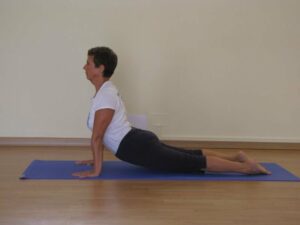 phoca_thumb_l_urdhva m.svanasana-anna