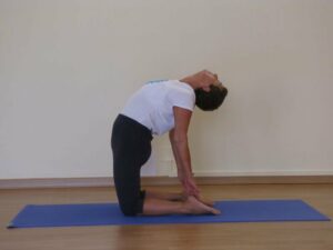 phoca_thumb_l_ustrasana-anna