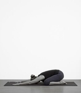 phoca_thumb_l_websurya006